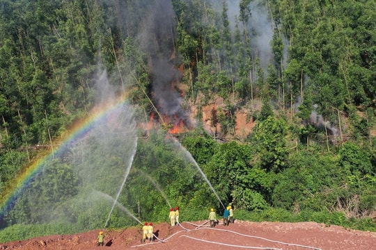 Bắc Ninh kích hoạt ứng phó trước nguy cơ cháy rừng ở mức cao