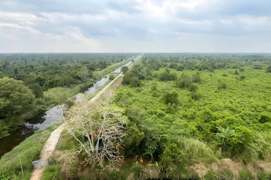 Cà Mau tăng cường phòng cháy chữa cháy rừng mùa khô