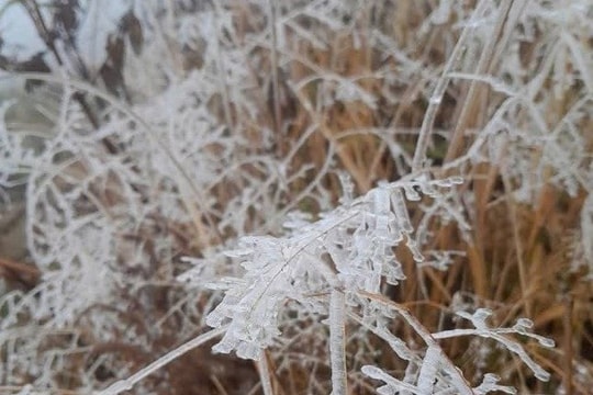 Miền Bắc chuẩn bị đón đợt không khí lạnh mạnh, nguy cơ xuất hiện băng giá