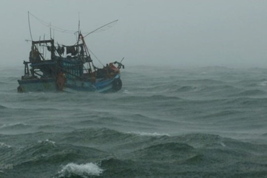 Bộ Xây dựng chỉ đạo kiểm soát tàu thuyền, ứng phó mưa lớn và rét hại