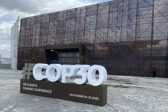 Việt Nam nhận được cam kết hỗ trợ mạnh mẽ từ đối tác quốc tế sau COP30