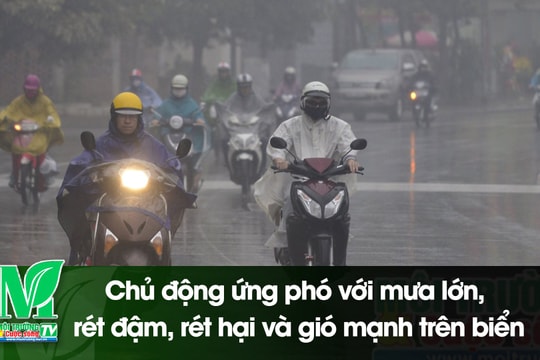 [VIDEO] Chủ động ứng phó với mưa lớn, rét đậm, rét hại và gió mạnh trên biển