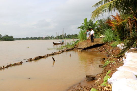Vĩnh Long đầu tư gần 1.000 tỷ đồng xây dựng đê kè, ứng phó sạt lở gia tăng