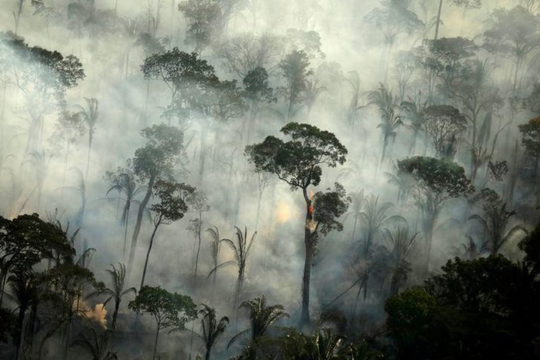 Khí hậu cực đoan đặt “lá phổi xanh” Amazon trước thử thách lịch sử