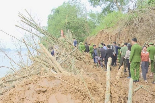 Nghệ An: Hội Nông dân xã Anh Sơn Đông trồng tre bảo vệ bờ sông Lam