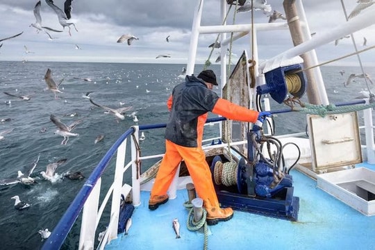 EU đạt thỏa thuận quan trọng bảo đảm ổn định hoạt động khai thác hải sản