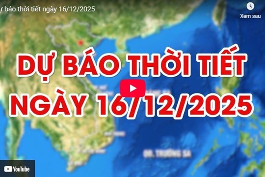 Dự báo thời tiết ngày 16/12/2025: Bắc Bộ tiếp tục rét