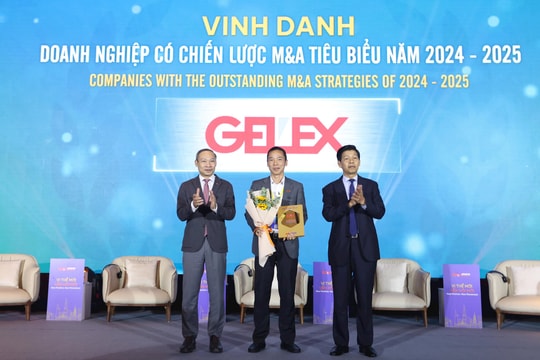 GELEX vinh dự là Doanh nghiệp có chiến lược M&A tiêu biểu 2024-2025