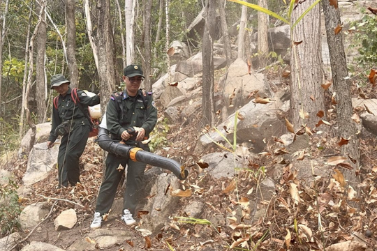 Cấp bách bảo vệ " lá phổi xanh" trong mùa khô