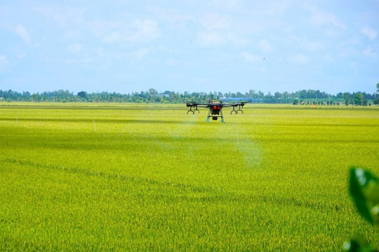 An Giang đặt mục tiêu sớm đạt 351 nghìn ha lúa chất lượng cao phát thải thấp