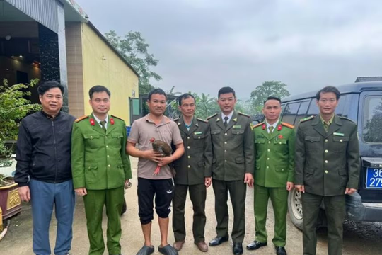 Thanh Hóa: Tiếp nhận cá thể gà lôi trắng do người dân giao nộp
