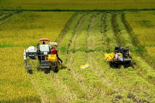 Vĩnh Long triển khai quy định mới về giảm phát thải và phát triển thị trường các-bon