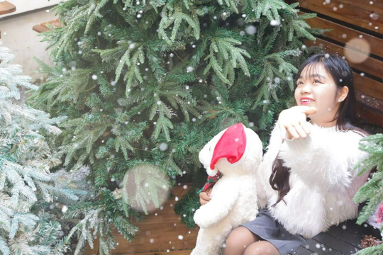 Diễn biến thời tiết đáng lưu ý trong dịp Giáng sinh và Tết Dương lịch 2026