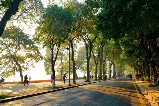 Dự báo thời tiết Hà Nội ngày 22/12/2025: Trưa chiều trời nắng