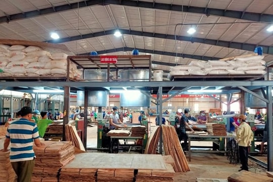 Gỗ Việt Nam chính thức có nhãn hiệu quốc gia, 7 doanh nghiệp đầu tiên được cấp quyền sử dụng