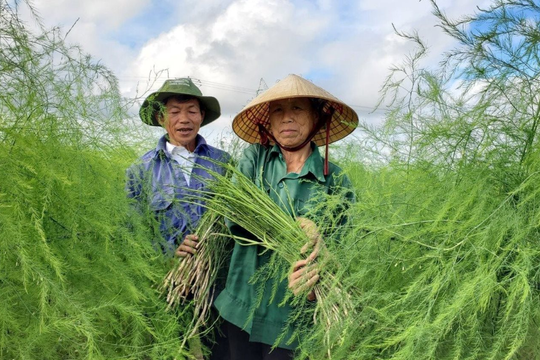 Thanh Hóa chủ động ứng phó, thích ứng với biến đổi khí hậu