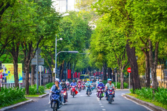 TP.HCM tìm hướng đạt mục tiêu tối thiểu 1m2 cây xanh công cộng/người