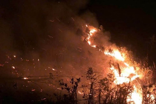 Sơn La siết chặt công tác bảo vệ rừng, chủ động ứng phó nguy cơ cháy rừng mùa khô