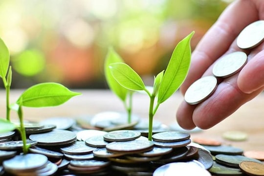 Tín dụng và tài chính xanh: Nền tảng cho tăng trưởng xanh bền vững