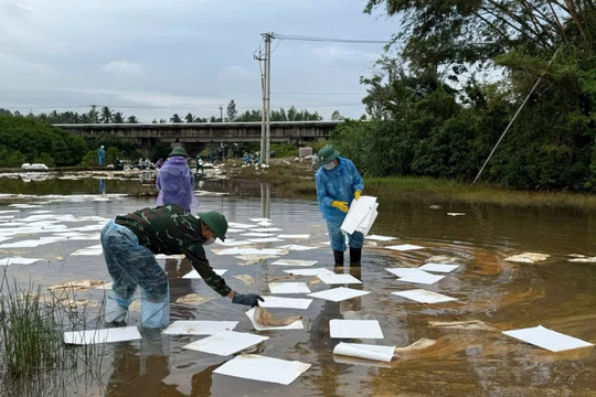 Quảng Ngãi: Phấn đấu khắc phục sự cố tràn dầu trước Tết Dương lịch