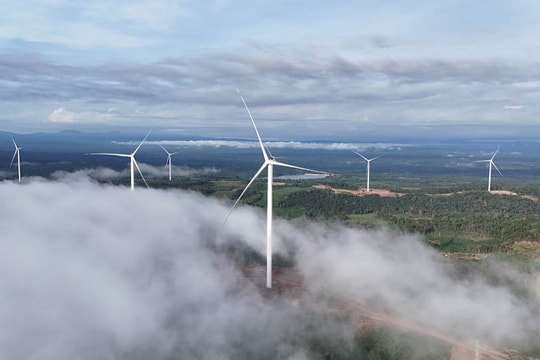 Chính thức vận hành Nhà máy điện gió qui mô lớn, đưa dòng điện sạch về Việt Nam