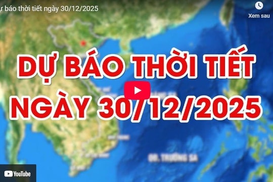 Dự báo thời tiết ngày 30/12/2025: Đêm và sáng có mưa rải rác