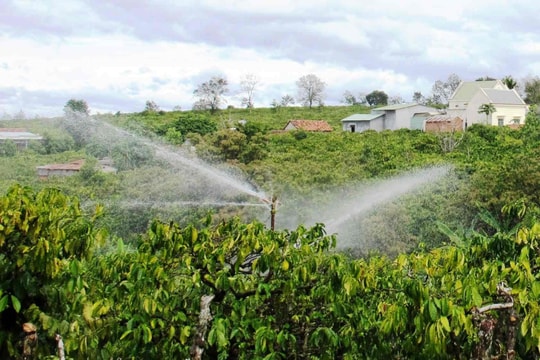 Nhiều rào cản trong nhân rộng công nghệ tưới tiên tiến, tiết kiệm nước ở Đắk Lắk
