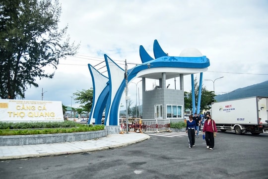 Cảng cá lớn nhất Đà Nẵng “hạ nhiệt” ô nhiễm sau 5 năm xử lý