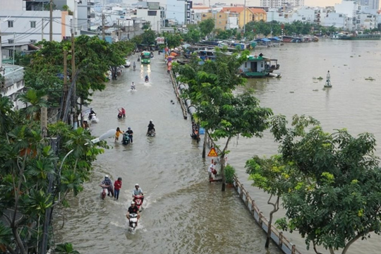 TP.HCM dùng AI và siêu cảm biến "đuổi" nước khỏi đường phố trong năm 2026
