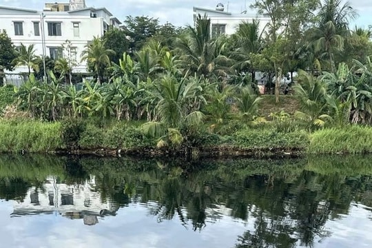 Đà Nẵng: Xử lý kịp thời hiện tượng dầu loang trên sông Cu Đê