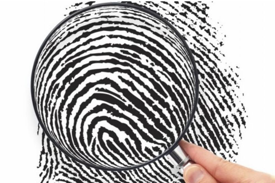 Nam Phi: Lá dứa phế thải trở thành giải pháp xử lý ô nhiễm và điều tra vân tay