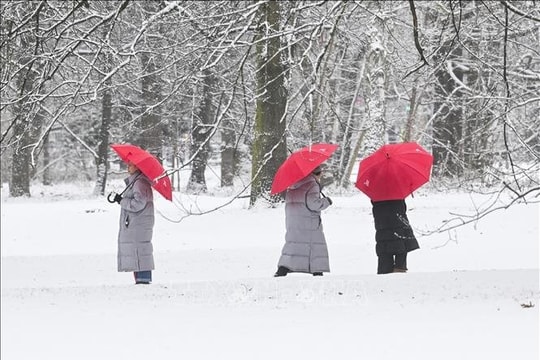 Đức tê liệt vì bão, tuyết và băng giá ngay đầu năm mới