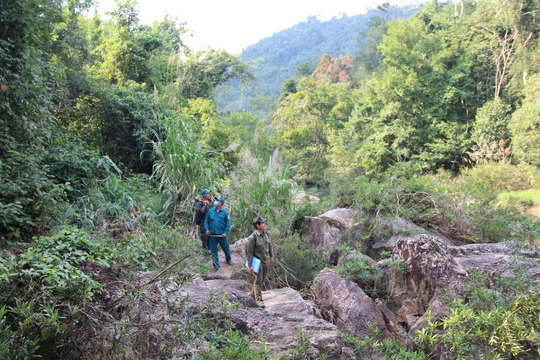 Khánh Hòa quyết liệt triển khai điều tra rừng sau sắp xếp đơn vị hành chính