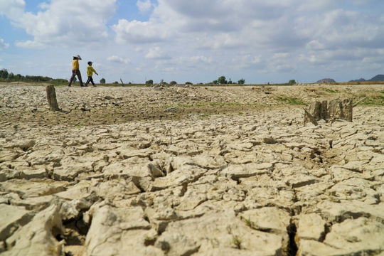 Chống sa mạc hóa gắn với quản lý bền vững đất đai và tài nguyên