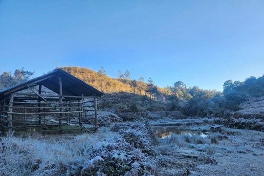 Cảnh báo rét hại và sương muối tại tỉnh miền núi Sơn La