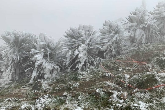Cao điểm không khí lạnh: Vùng núi có thể xuất hiện bao nhiêu đợt tuyết rơi?