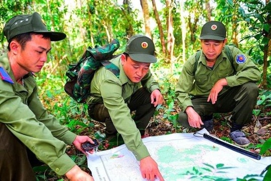 Cả nước trồng khoảng 285.000ha rừng, xuất khẩu gỗ và lâm sản đạt trên 18 tỷ USD năm 2025