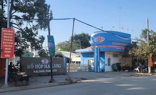 Công ty Đồ hộp Hạ Long trong vụ 130 tấn lợn bệnh được “phù phép”