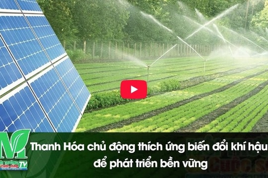 [VIDEO] Thanh Hóa chủ động thích ứng biến đổi khí hậu để phát triển bền vững
