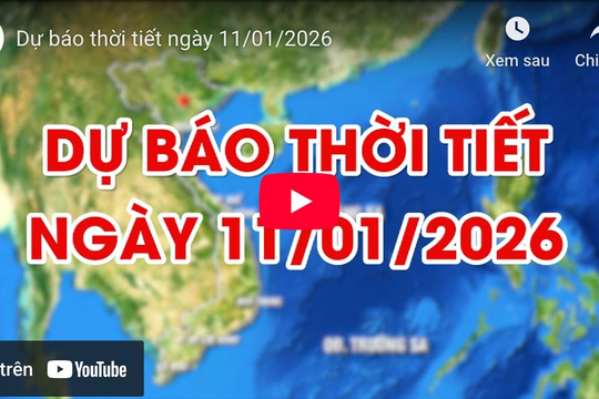 Dự báo thời tiết ngày 11/01/2026: Trời rét, đêm không mưa