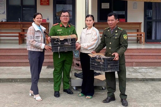 Chim lạ bay vào vườn lúc nửa đêm, người dân giao nộp cho công an