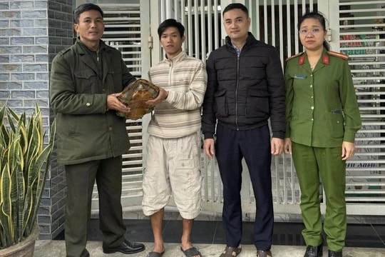 Người dân phát hiện rùa quý hiếm nặng 6,8kg lạc vào vườn nhà