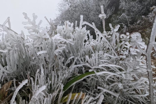 Nhiều địa phương rét đậm dưới 10 độ C, cần đề phòng băng giá và sương muối