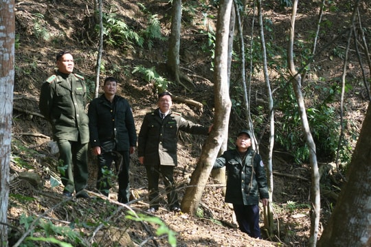 Tuyên Quang: Bền bỉ giữ vững “lá phổi xanh” Nà Hang