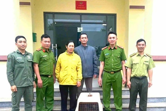 Người dân Lâm Đồng tự nguyện giao nộp vượn đen má vàng quý hiếm