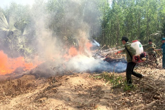 Đồng Nai siết chặt các biện pháp phòng, chống cháy rừng trong mùa khô