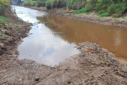 Cà Mau tìm nguồn nước mặt ổn định từ sông Hậu, dự kiến đầu tư gần 5.400 tỷ đồng