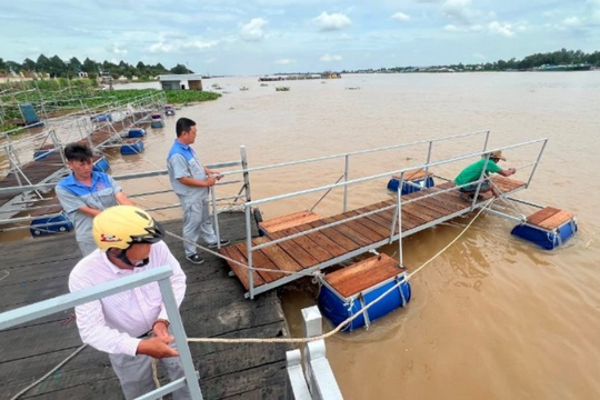 Đồng Tháp đẩy mạnh công tác bảo vệ và phát triển nguồn lợi thủy sản trong năm 2026