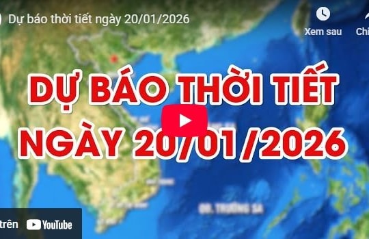 Dự báo thời tiết ngày 20/01/2026: Bắc Bộ mưa phùn sương mù