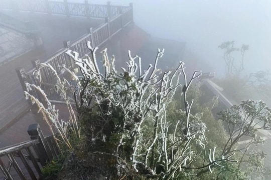 Các địa phương chủ động ứng phó rét đậm, rét hại và gió mạnh trên biển